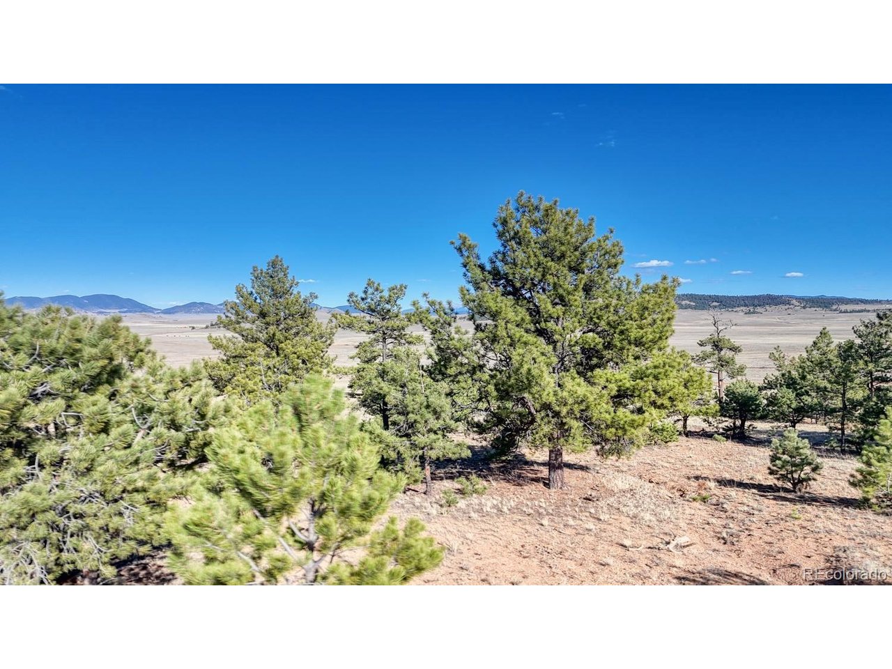 5103 Anasazi Road Hartsel, CO 80449 - Photo 3 of 21 a open area with a yard