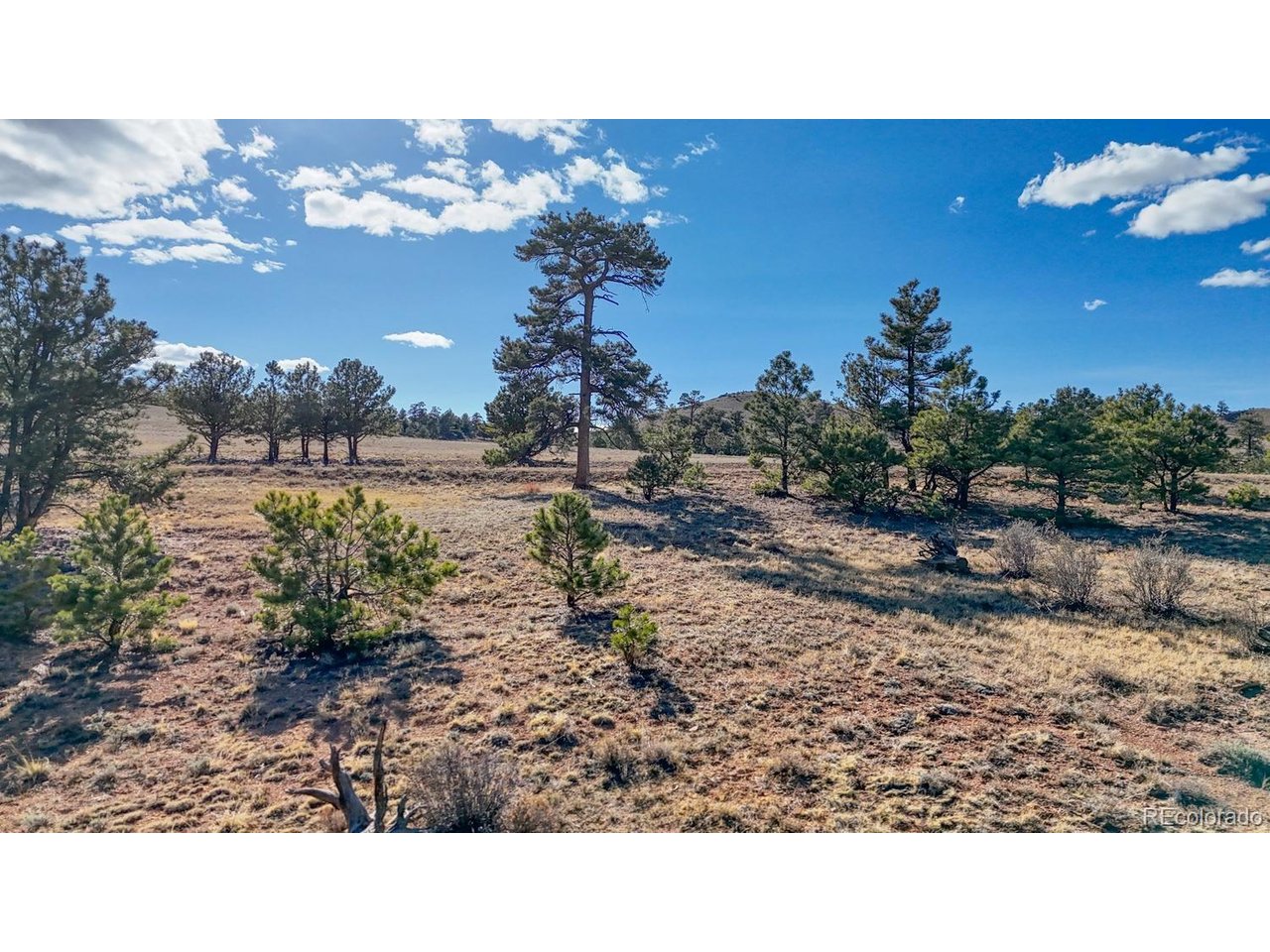 5103 Anasazi Road Hartsel, CO 80449 - Photo 6 of 21