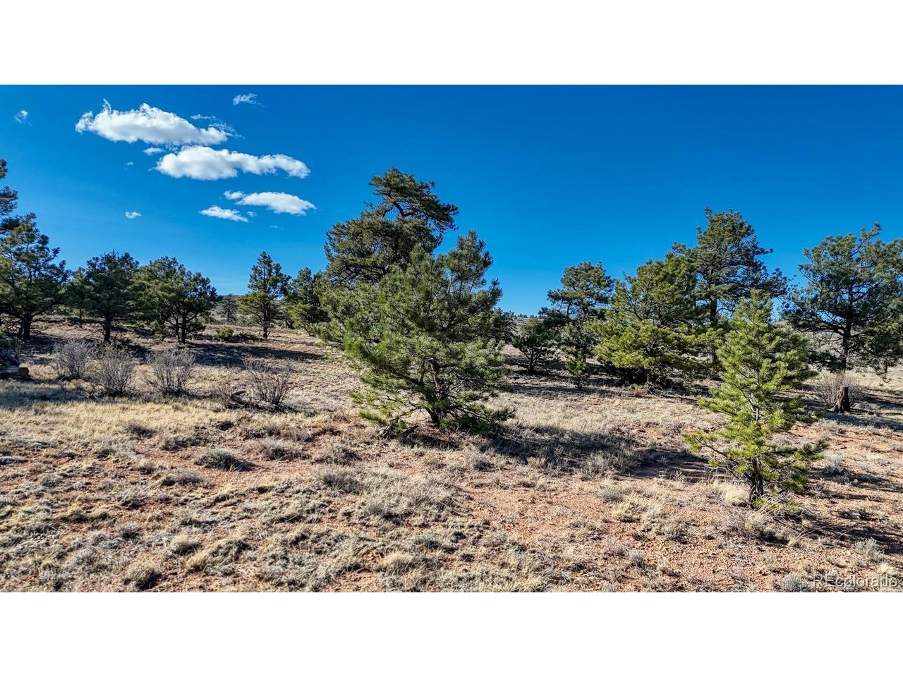 5103 Anasazi Road Hartsel, CO 80449 - Photo 7 of 21 a open area with trees in the background