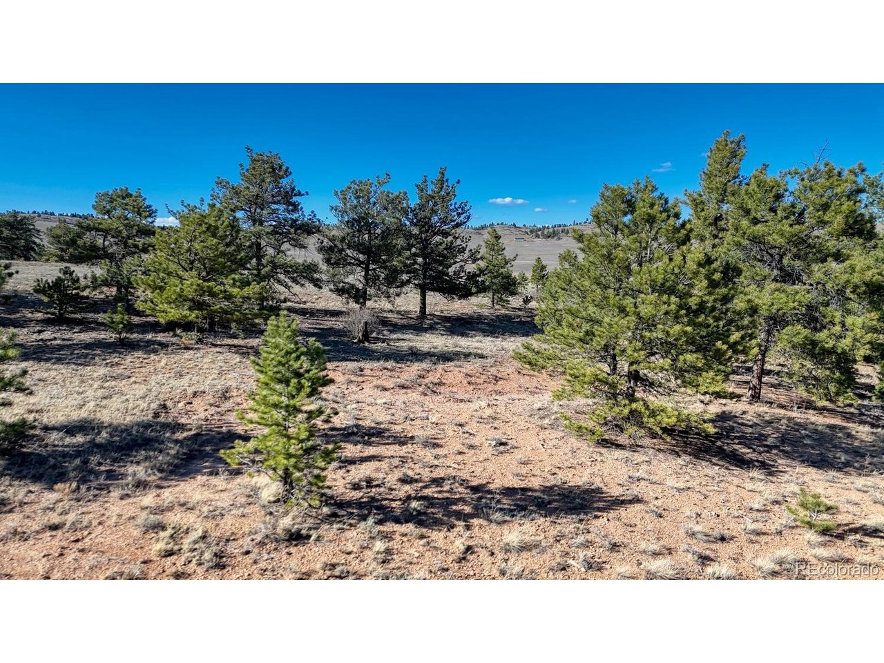 5103 Anasazi Road Hartsel, CO 80449 - Photo 8 of 21 a backyard of a house with a yard