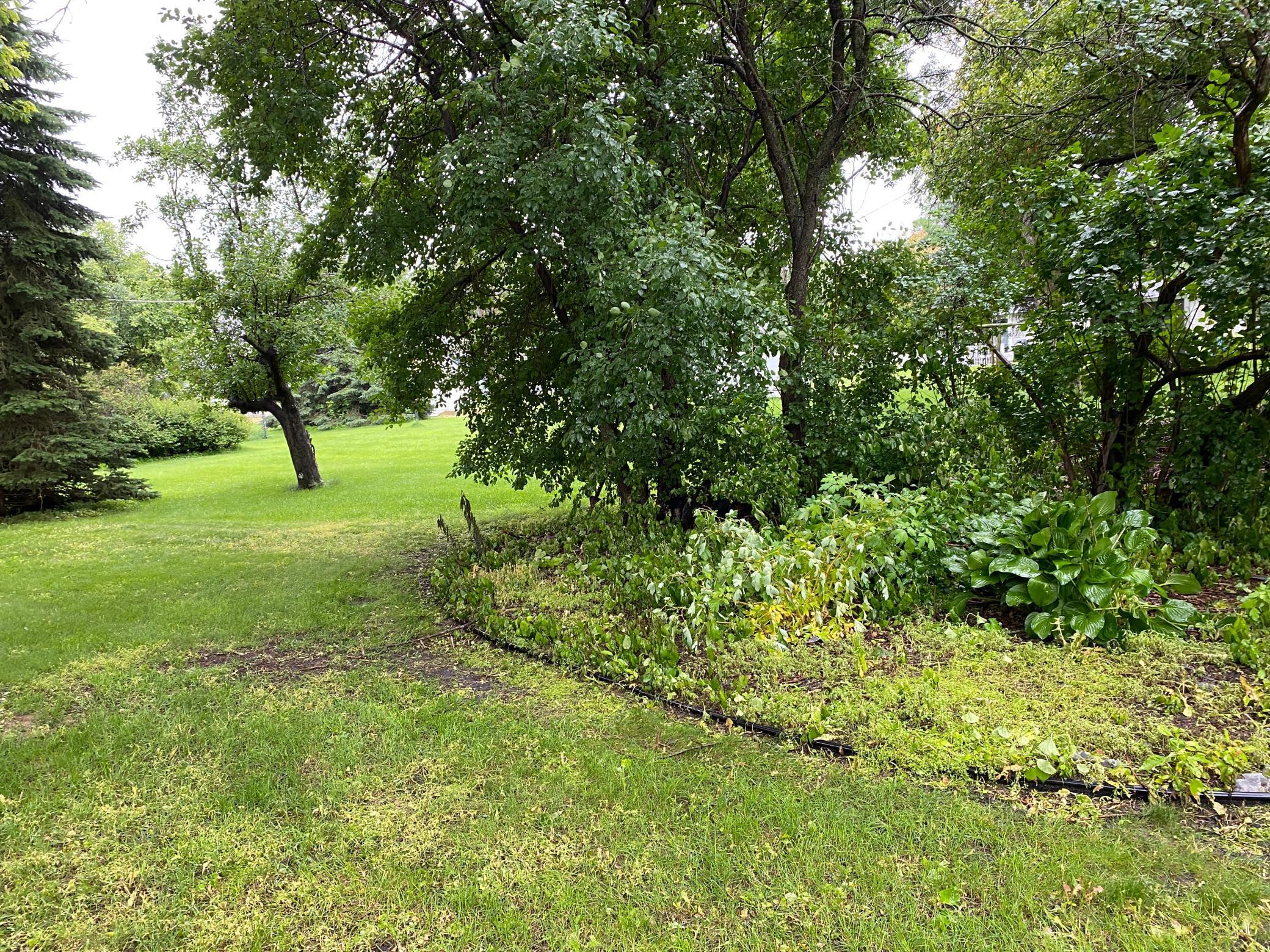 220 South 2nd Street Bird Island, MN 55310 - Photo 19 of 28