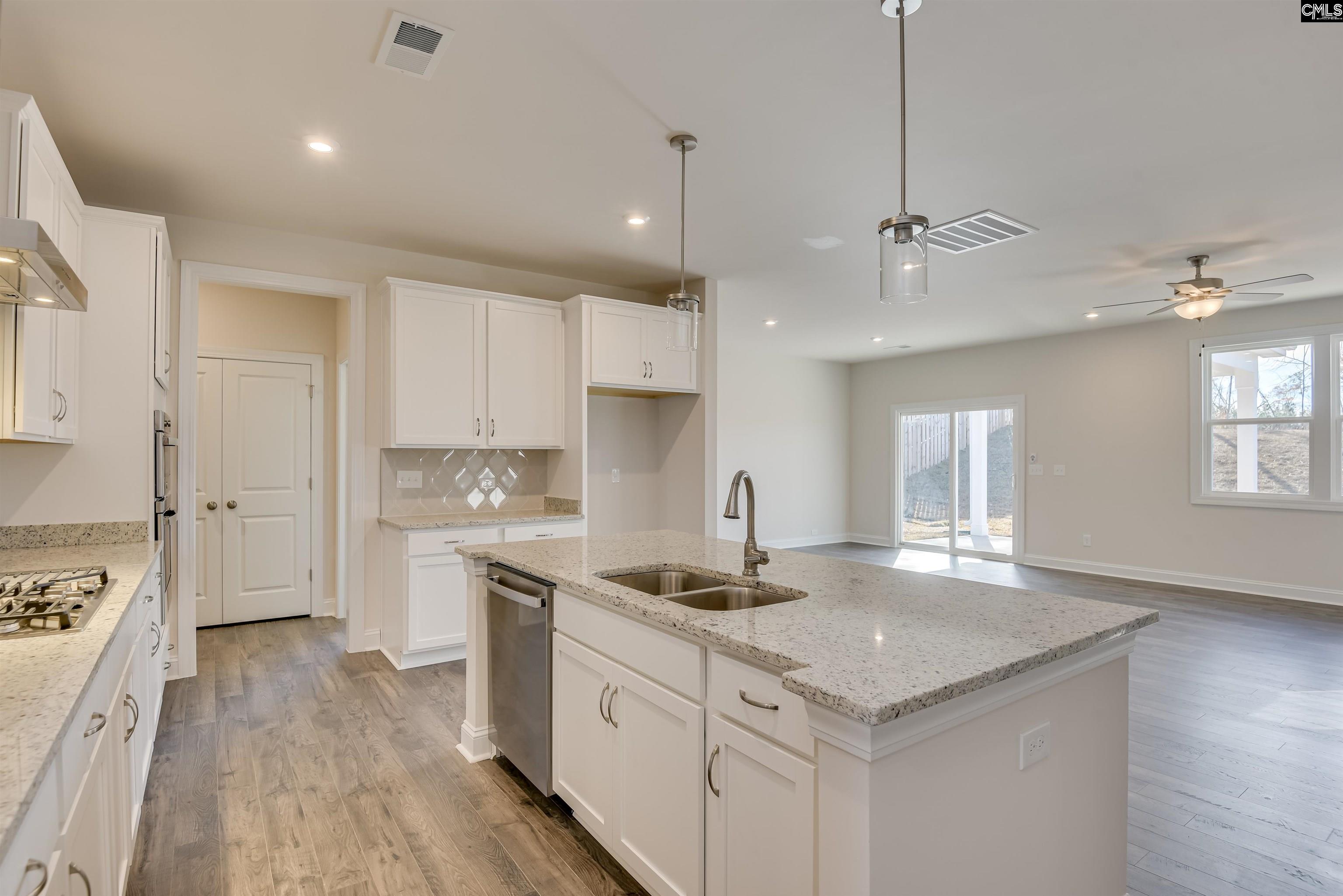 617 Basalt Court Chapin, SC 29036 - Photo 4 of 46