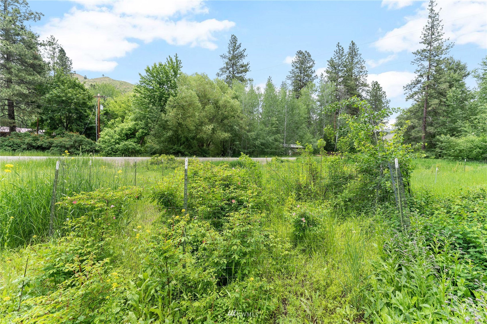 94 Libby Creek Road Carlton, WA 98814 - Photo 28 of 40 Gallery Image 28