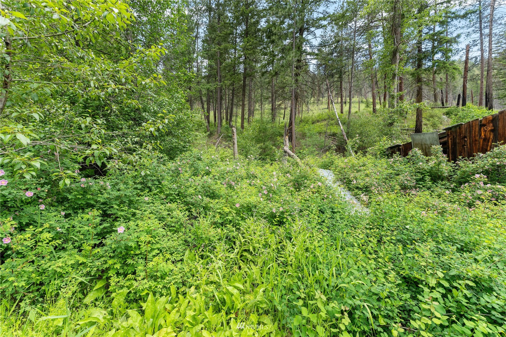 94 Libby Creek Road Carlton, WA 98814 - Photo 29 of 40 Gallery Image 29