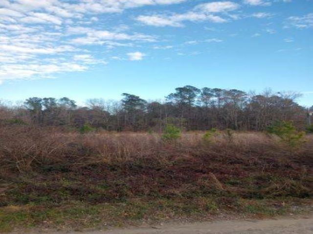 Tbd Shine Road Johnsonville, SC 29555 - Photo 2 of 3