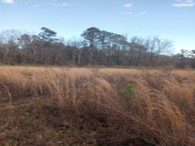 Tbd Shine Road Johnsonville, SC 29555 - Photo 3 of 3
