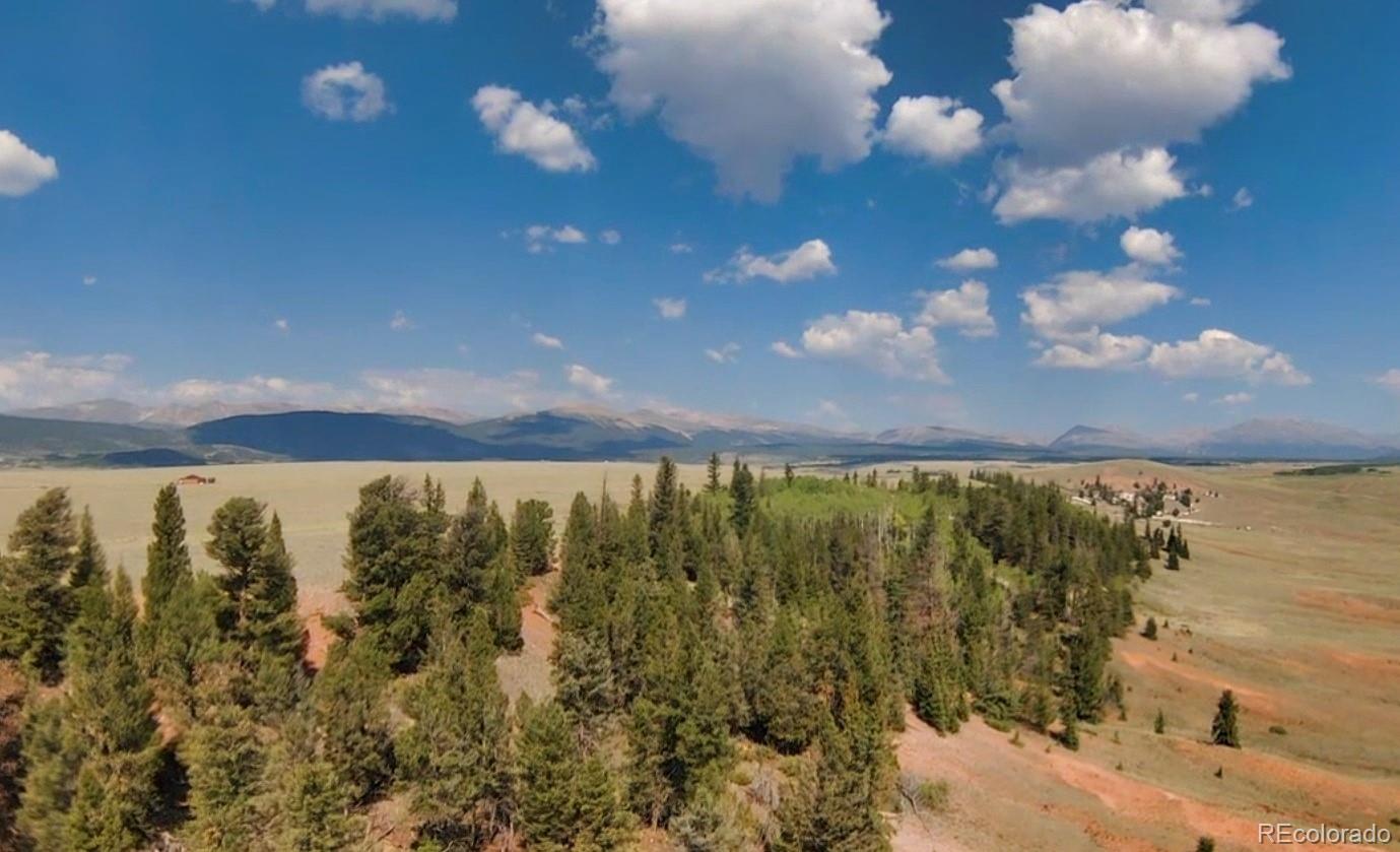 4335 Meier Ridge Trail Fairplay, CO 80440 - Photo 2 of 49 Gallery Image 2