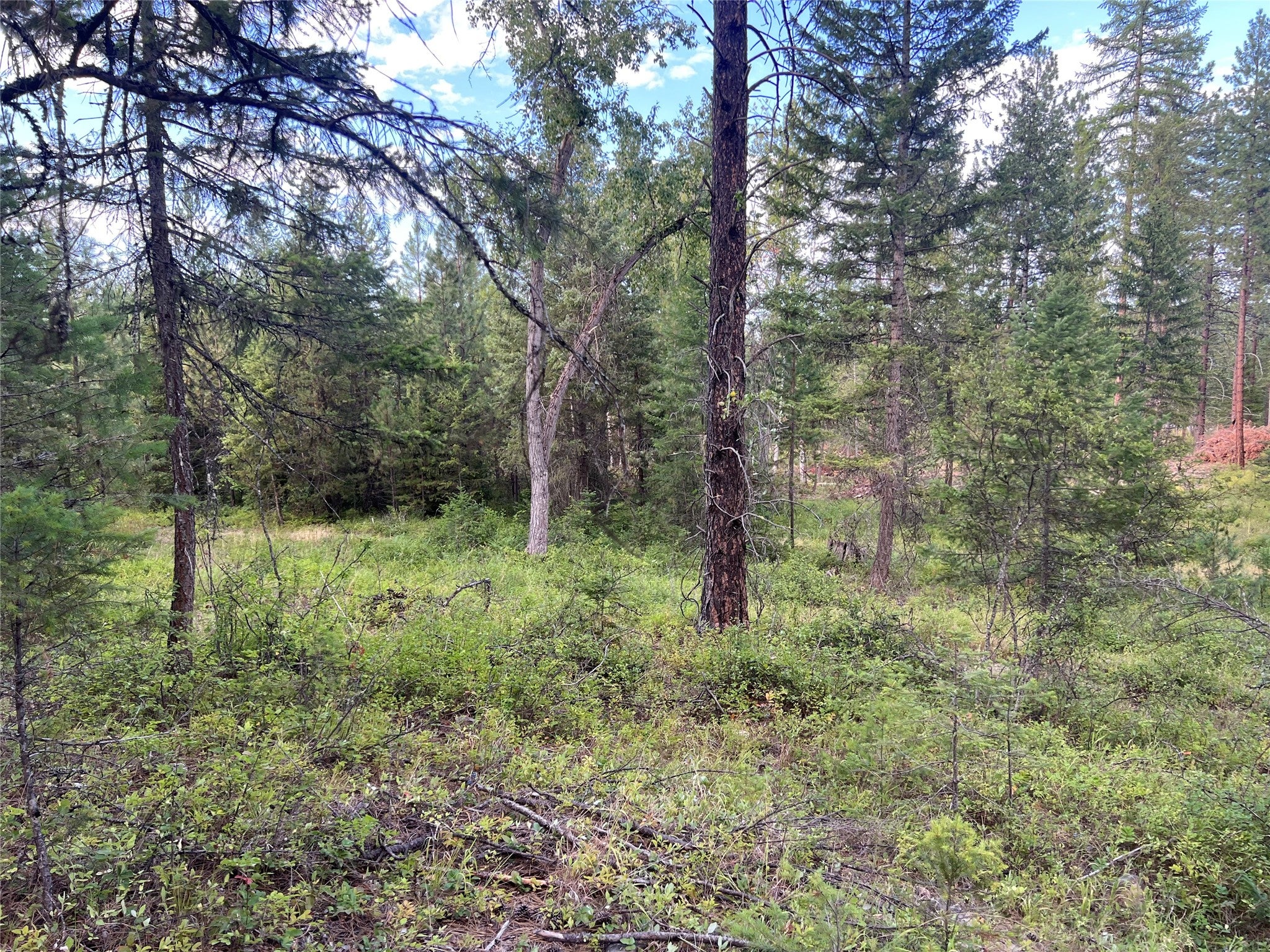 Tbd Granite Lake Road, Unit 6 Libby, MT 59923 - Photo 2 of 6 Gallery Image 2