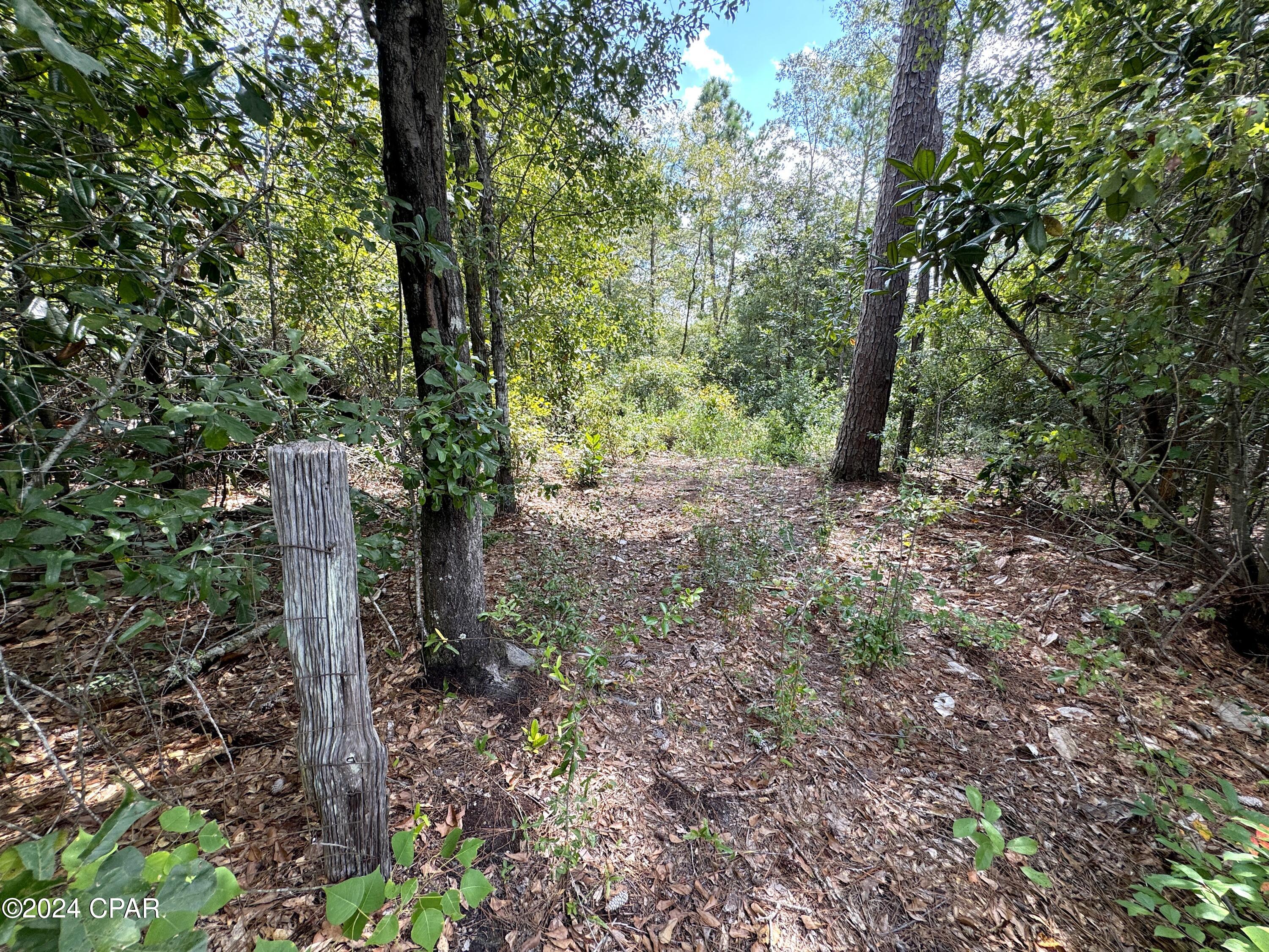 0 Pine Grove Road Quincy, FL 32351 - Photo 2 of 15 Gallery Image 2