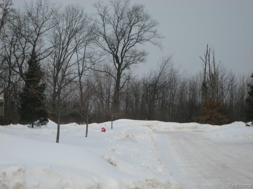 3458 Tremonte Circle Rochester, MI 48306 - Photo 3 of 17 079.jpg