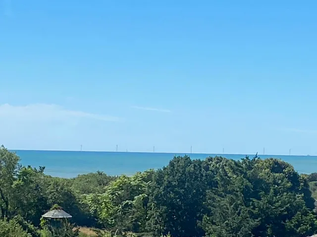 an aerial view of a city and green space