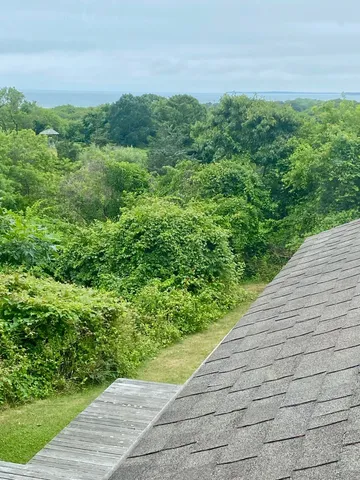 a view of a street with a tree