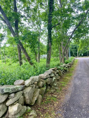 view of a green field