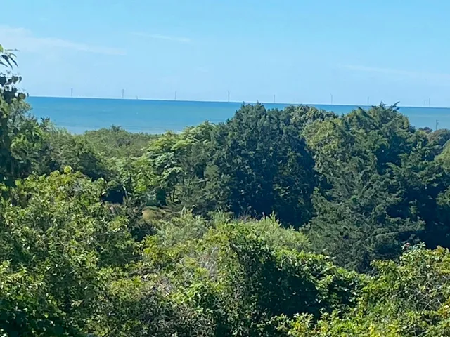 an aerial view of a houses with a yard