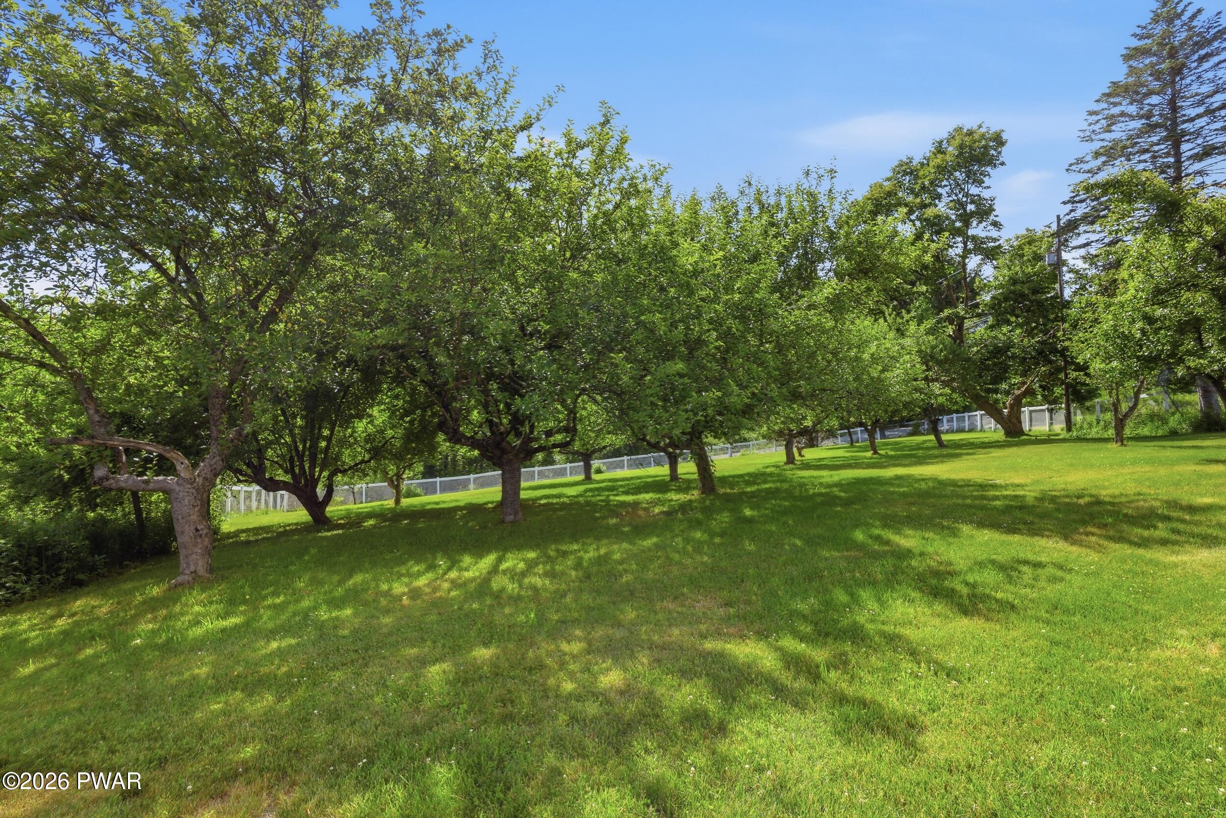 348 Egypt Road Honesdale, PA 18431 - Photo 70 of 90