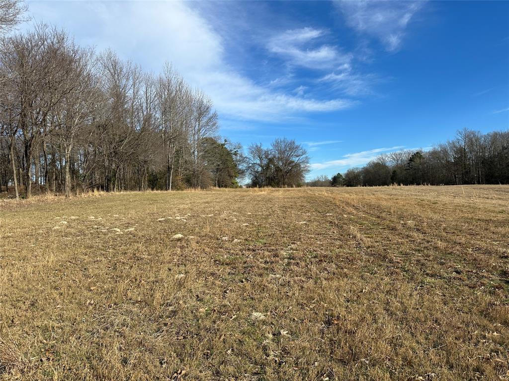 0 Fm-2948 Road Como, TX 75431 - Photo 4 of 8 a view of hard wood floor with a yard