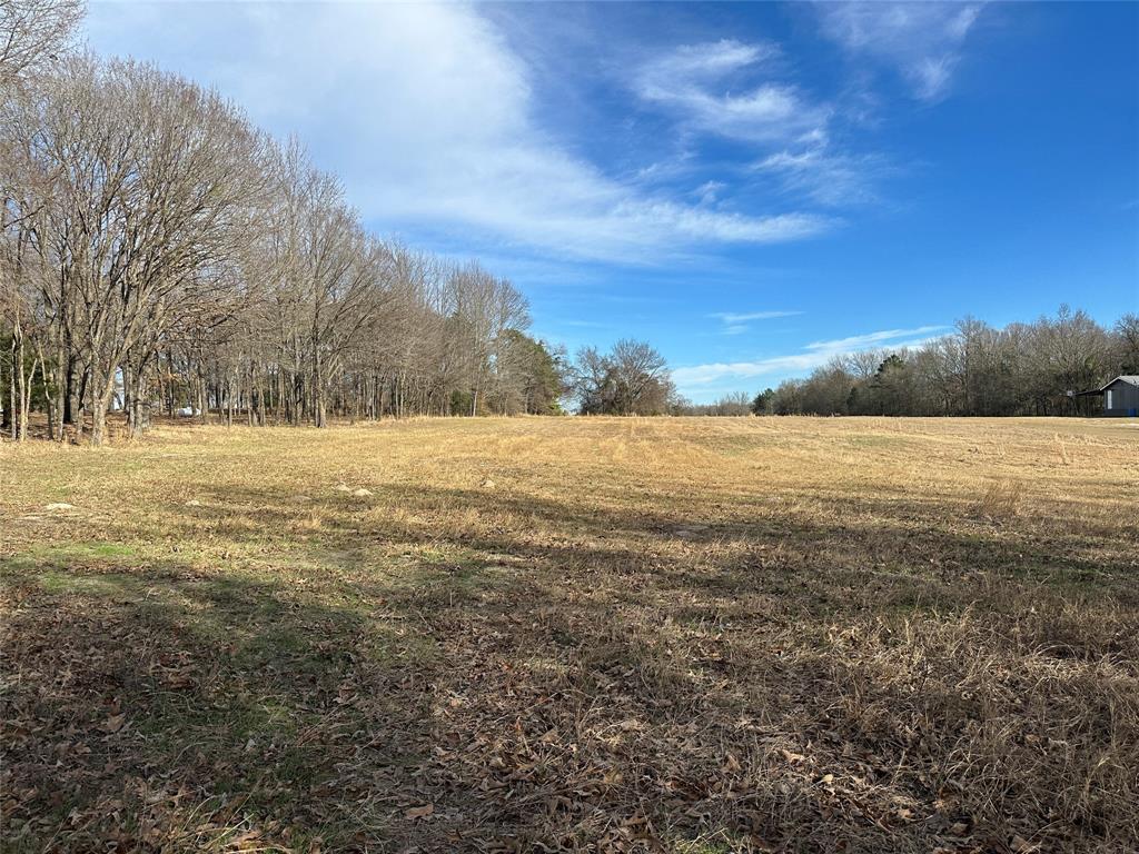 0 Fm-2948 Road Como, TX 75431 - Photo 5 of 8 a view of yard with ocean and trees in the background