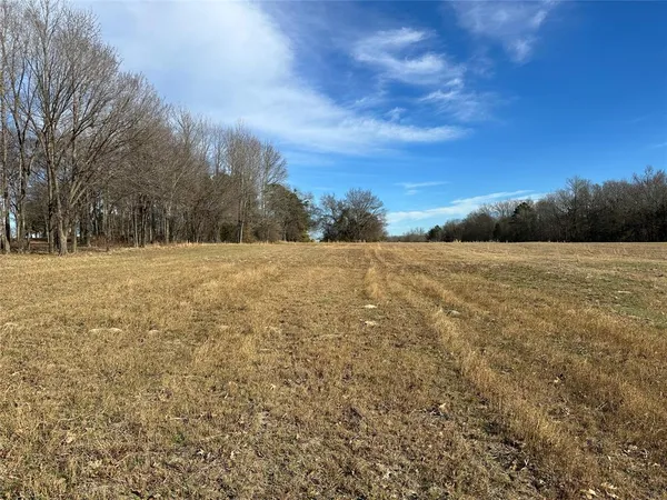 a view of an outdoor space with yard