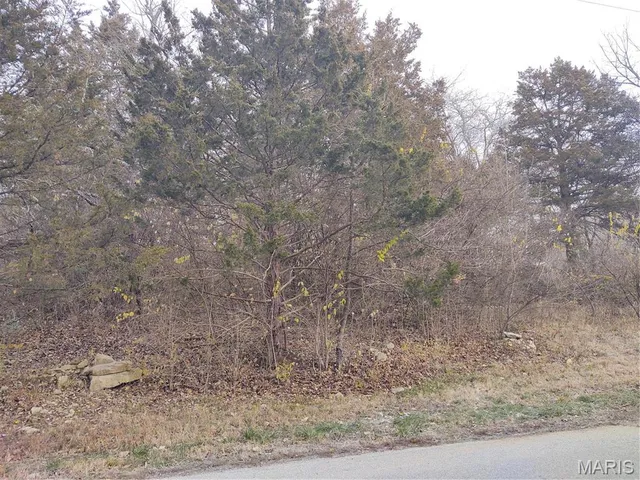 $3,000 | 0 Lot 47 Fernwood Circle, House Springs, MO 63051