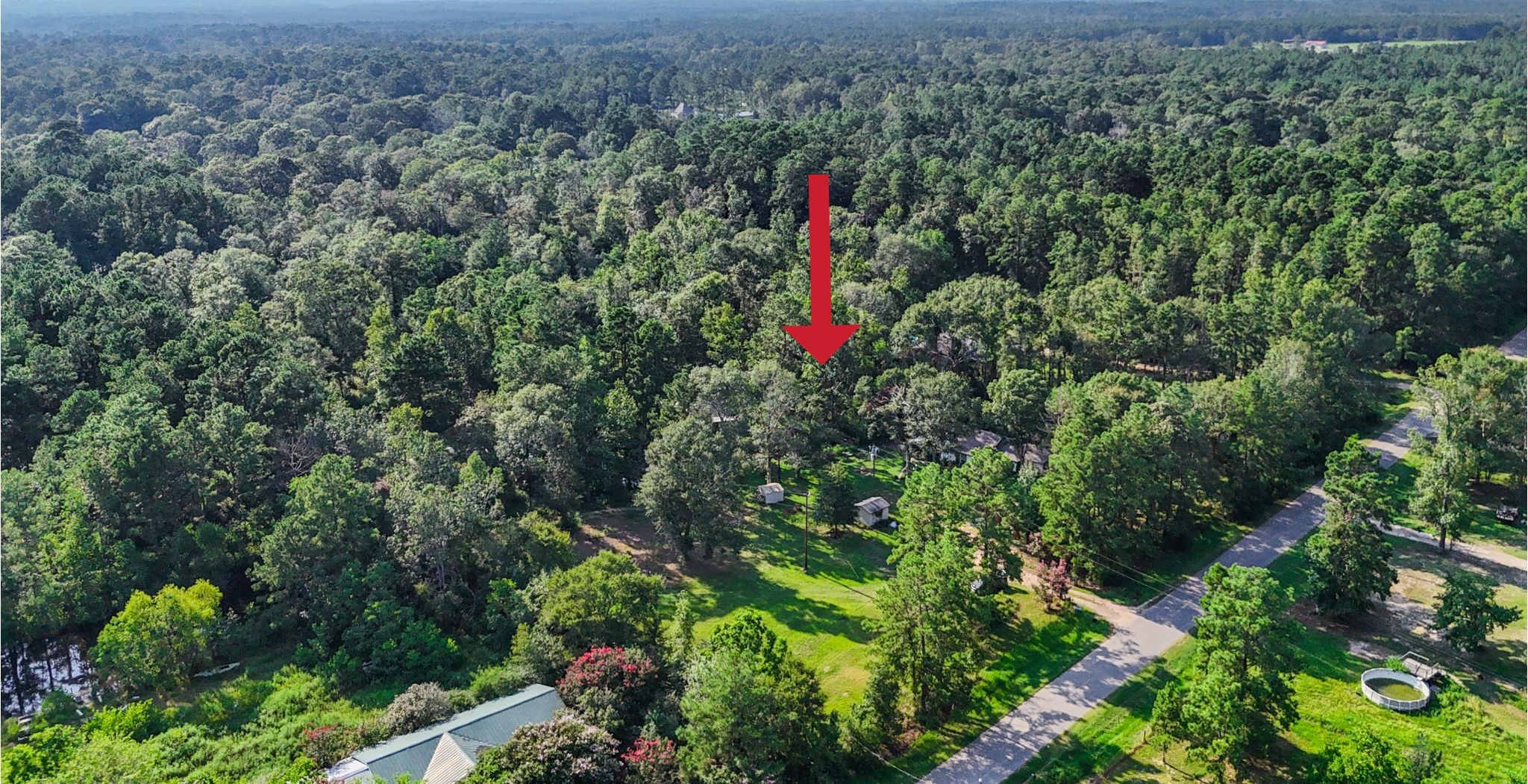 7477 Hidden Acres Drive Cleveland, TX 77328 - Photo 2 of 31 a close up of a flower