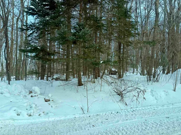 $34,900 | Jones Avenue, Wabeno, WI 54566