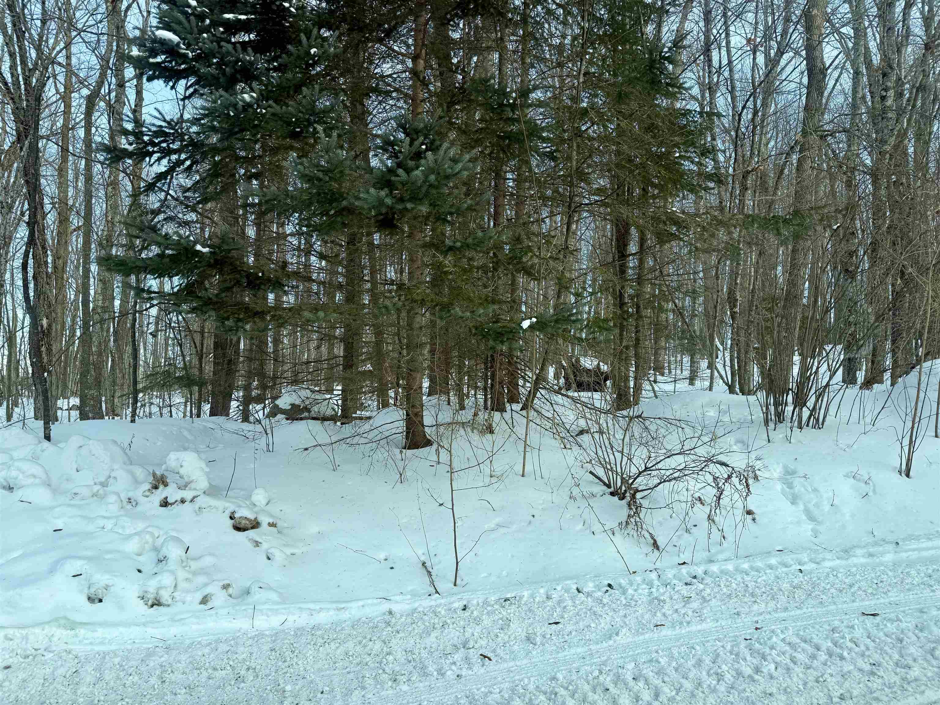 Jones Avenue Wabeno, WI 54566 - Photo 1 of 1