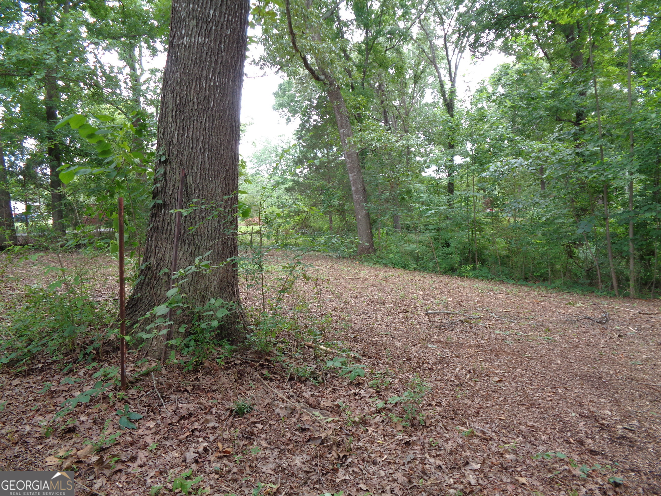 2411 Kesler Road Carnesville, GA 30521 - Photo 26 of 61 a view of a yard with a tree