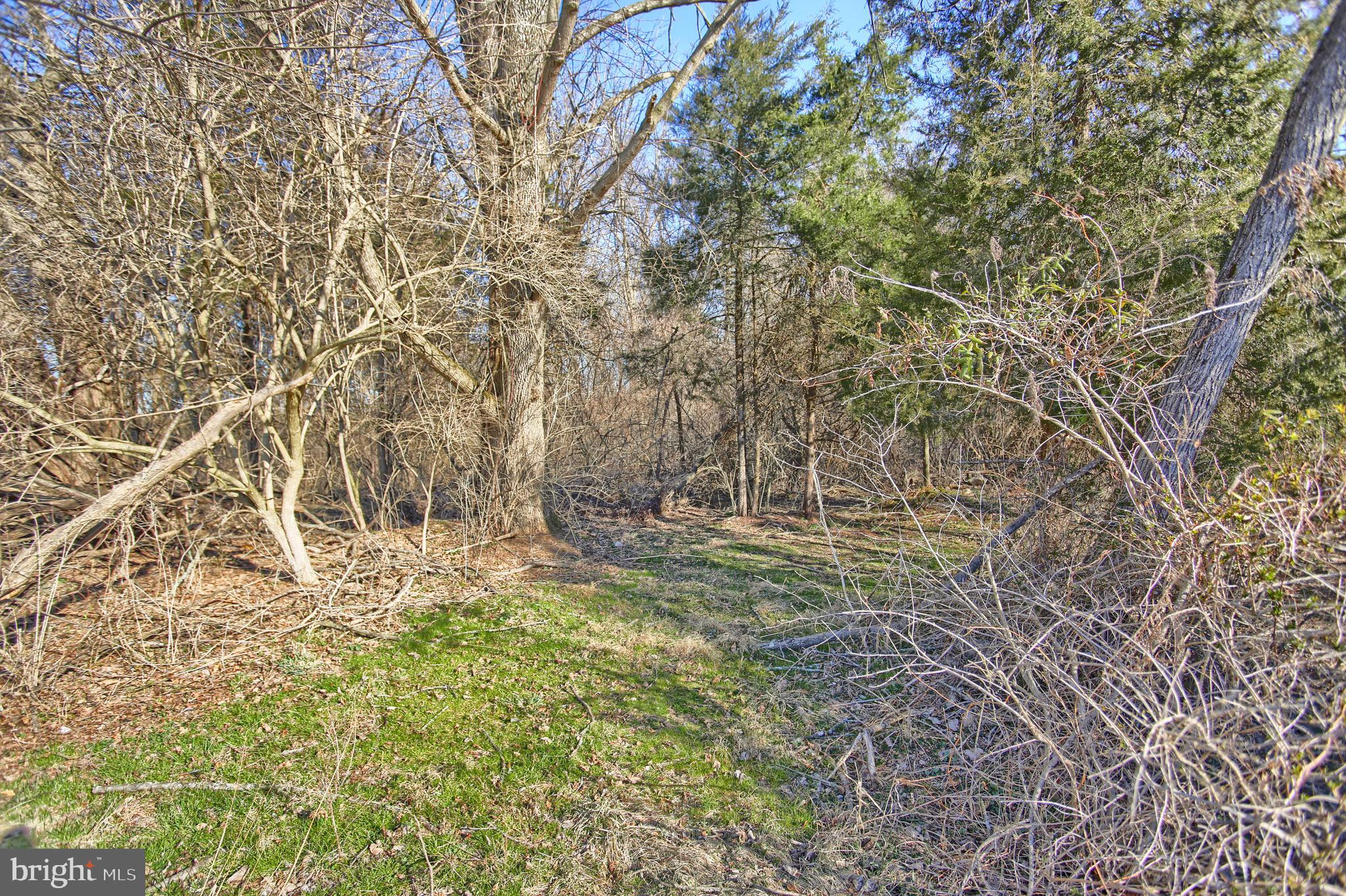 0 Spring Lane Road Dillsburg, PA 17019 - Photo 14 of 20 Gallery Image 14