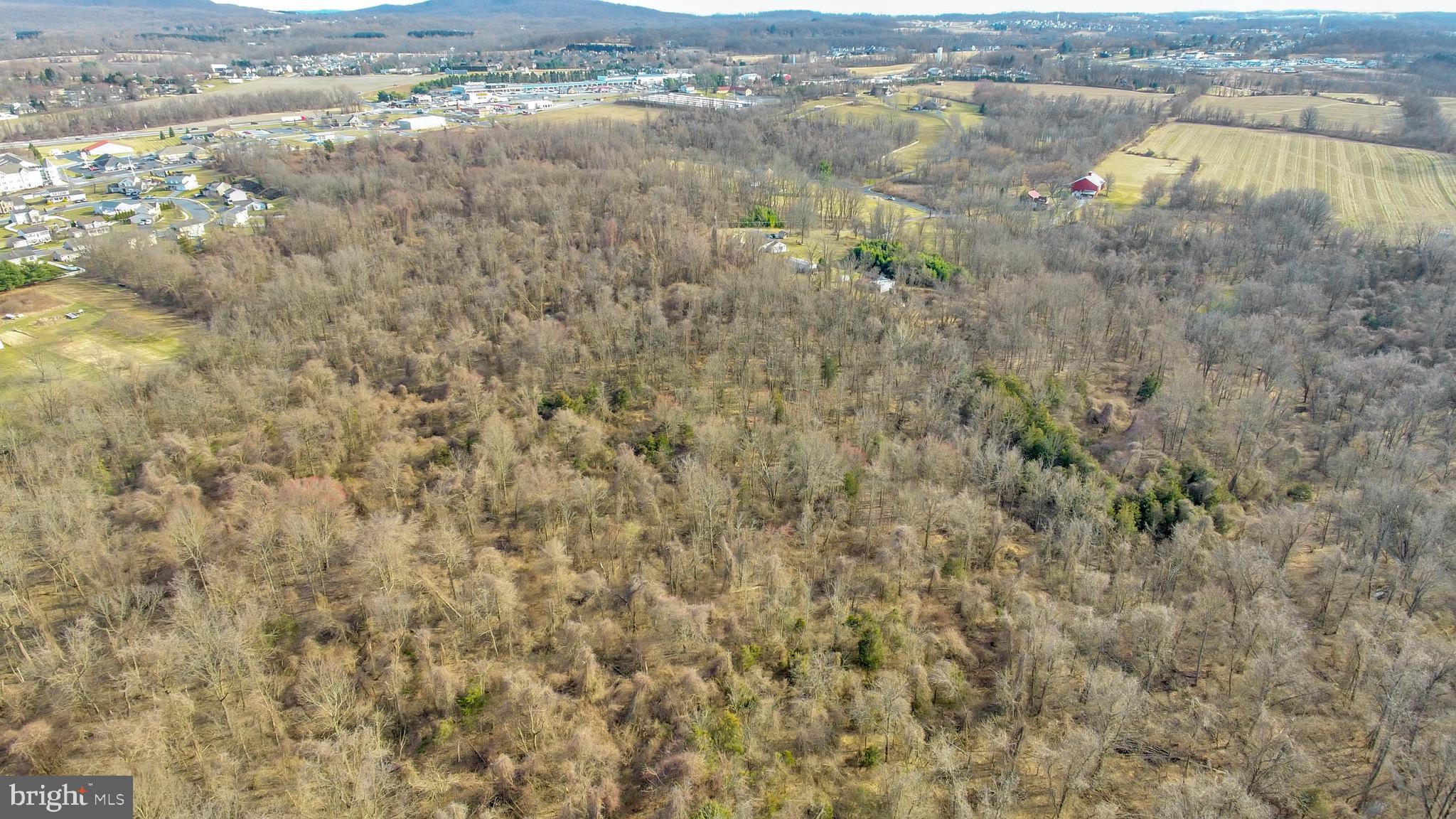 0 Spring Lane Road Dillsburg, PA 17019 - Photo 4 of 20 Gallery Image 4