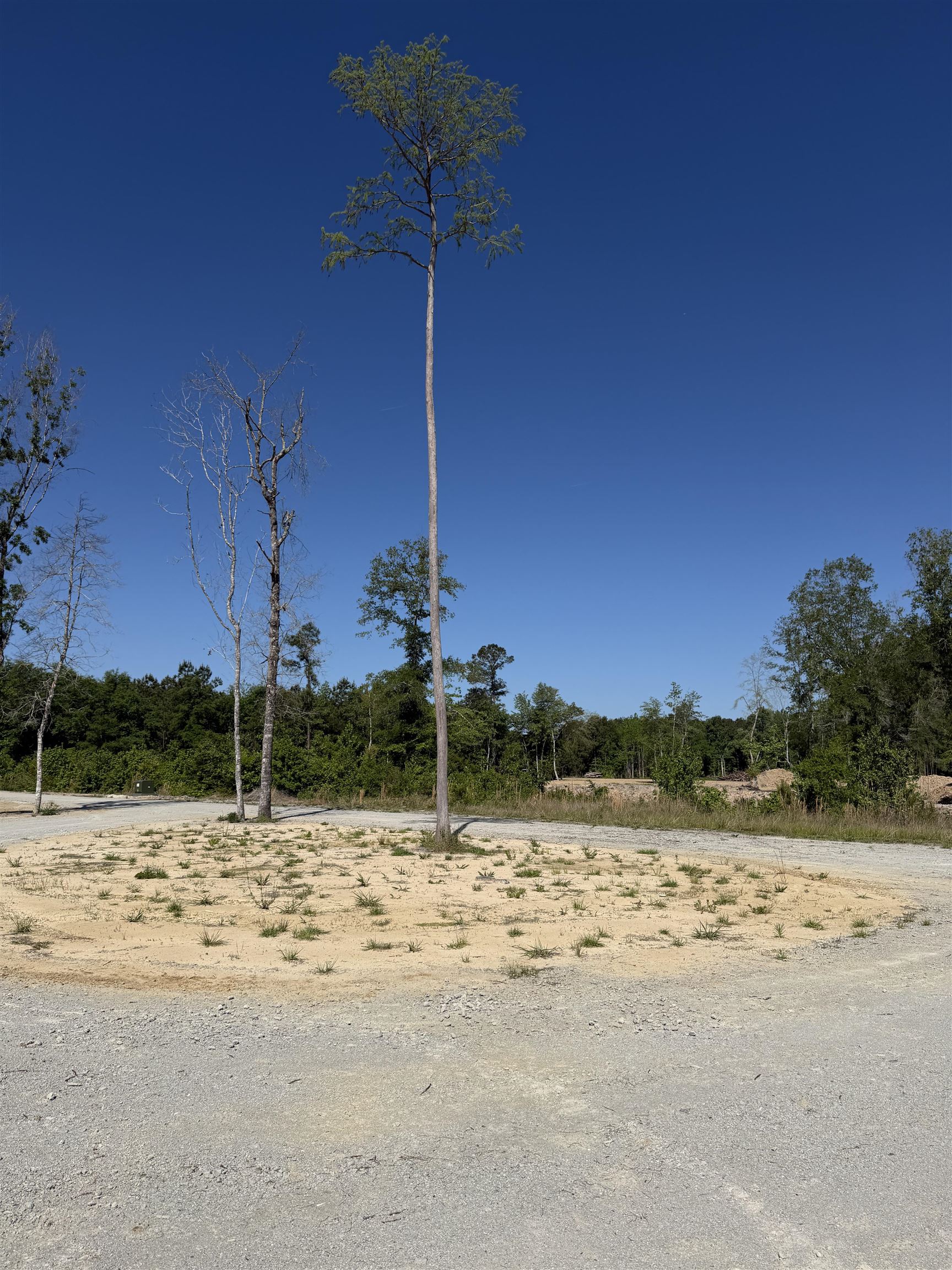 2230 Pee Dee Highway Conway, SC 29527 - Photo 18 of 23