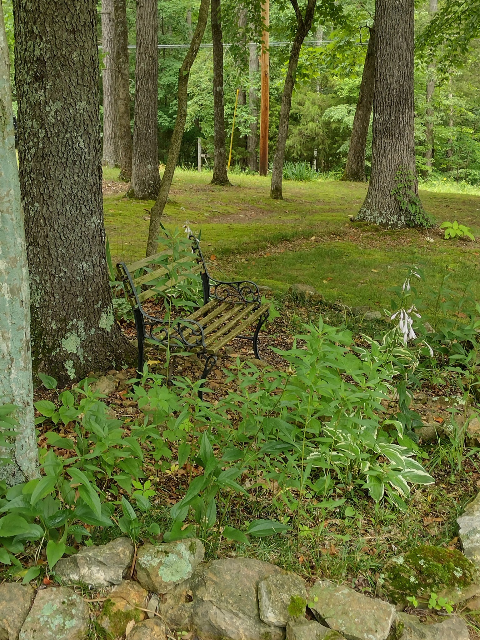 1056 Meeks Cemetery Road Burns, TN 37029 - Photo 54 of 55