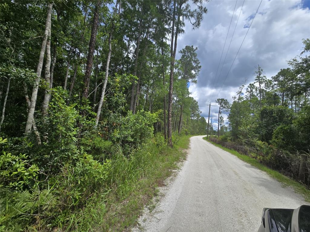 1135 Omega Ranch Road, Unit 4&5 Deltona, FL 32738 - Photo 5 of 11 a view of a garden with plants