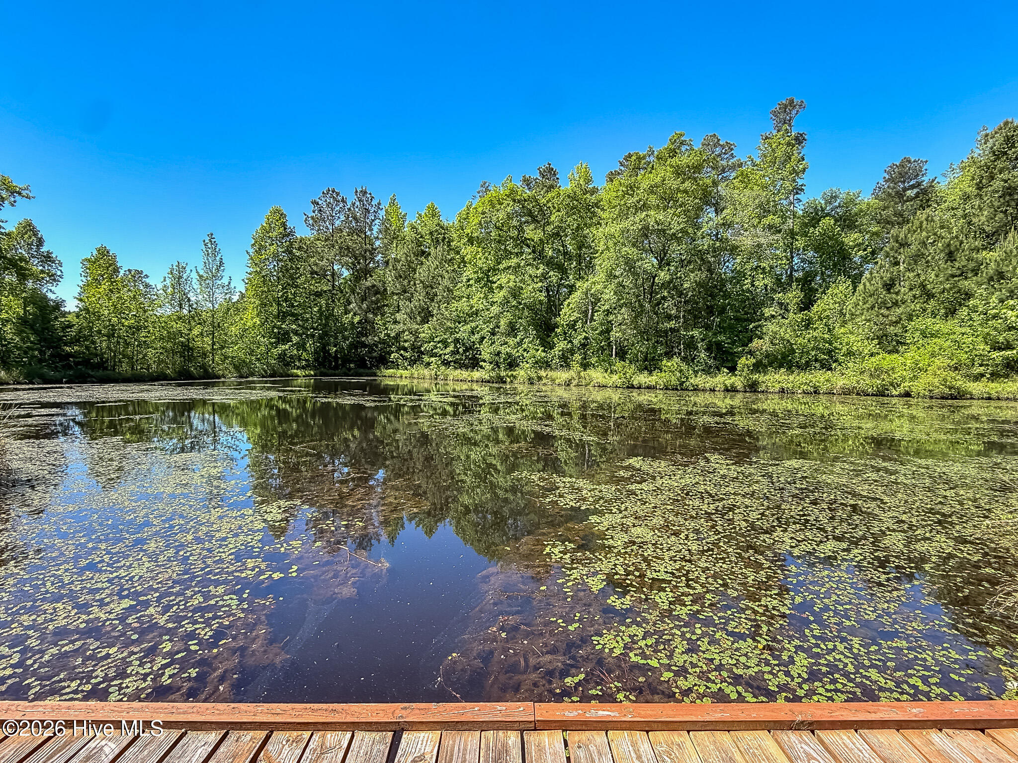 6375 Swanns Station Road Sanford, NC 27332 - Photo 115 of 126 Stocked Pond