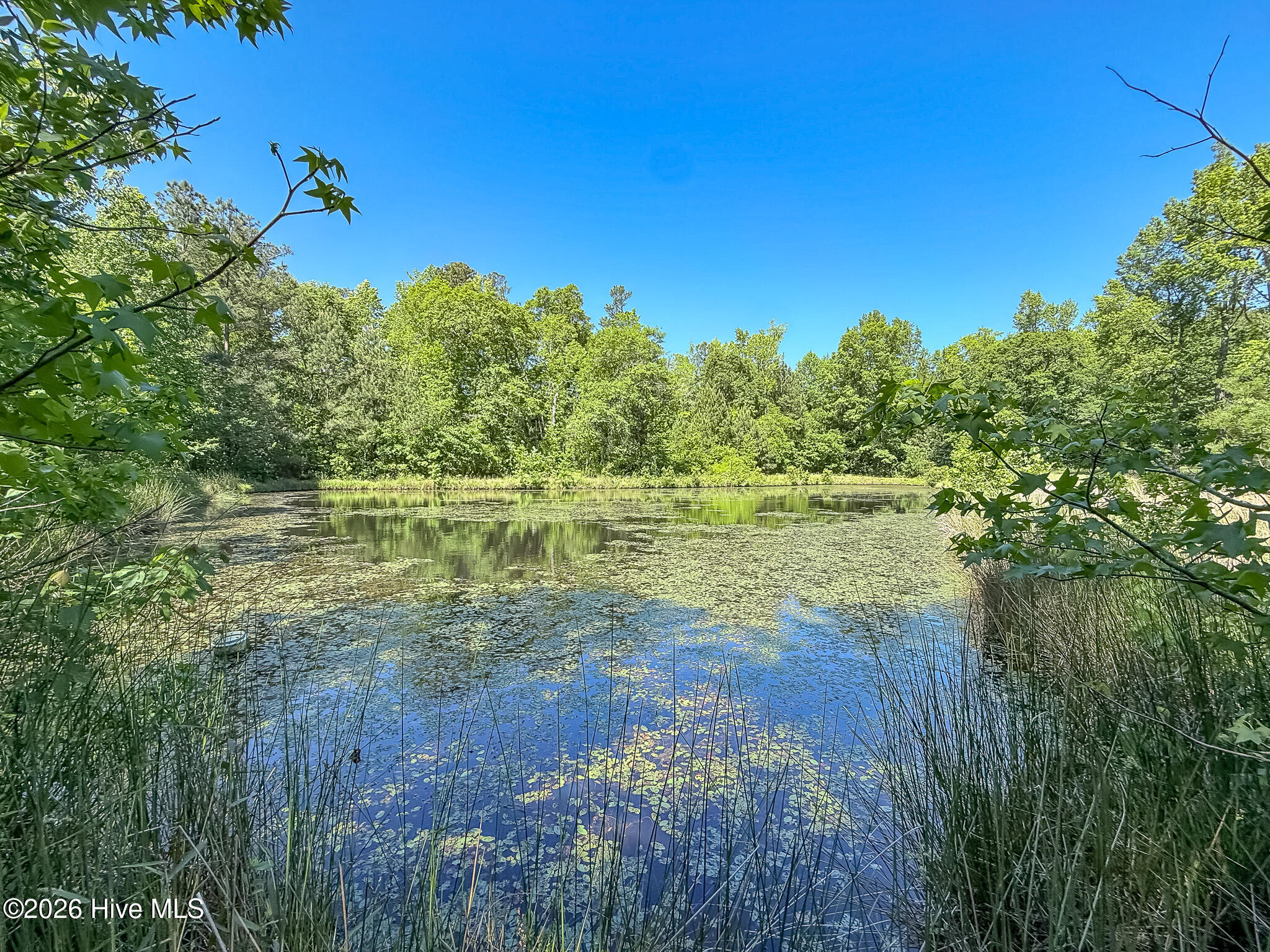 6375 Swanns Station Road Sanford, NC 27332 - Photo 116 of 126 Stocked Pond