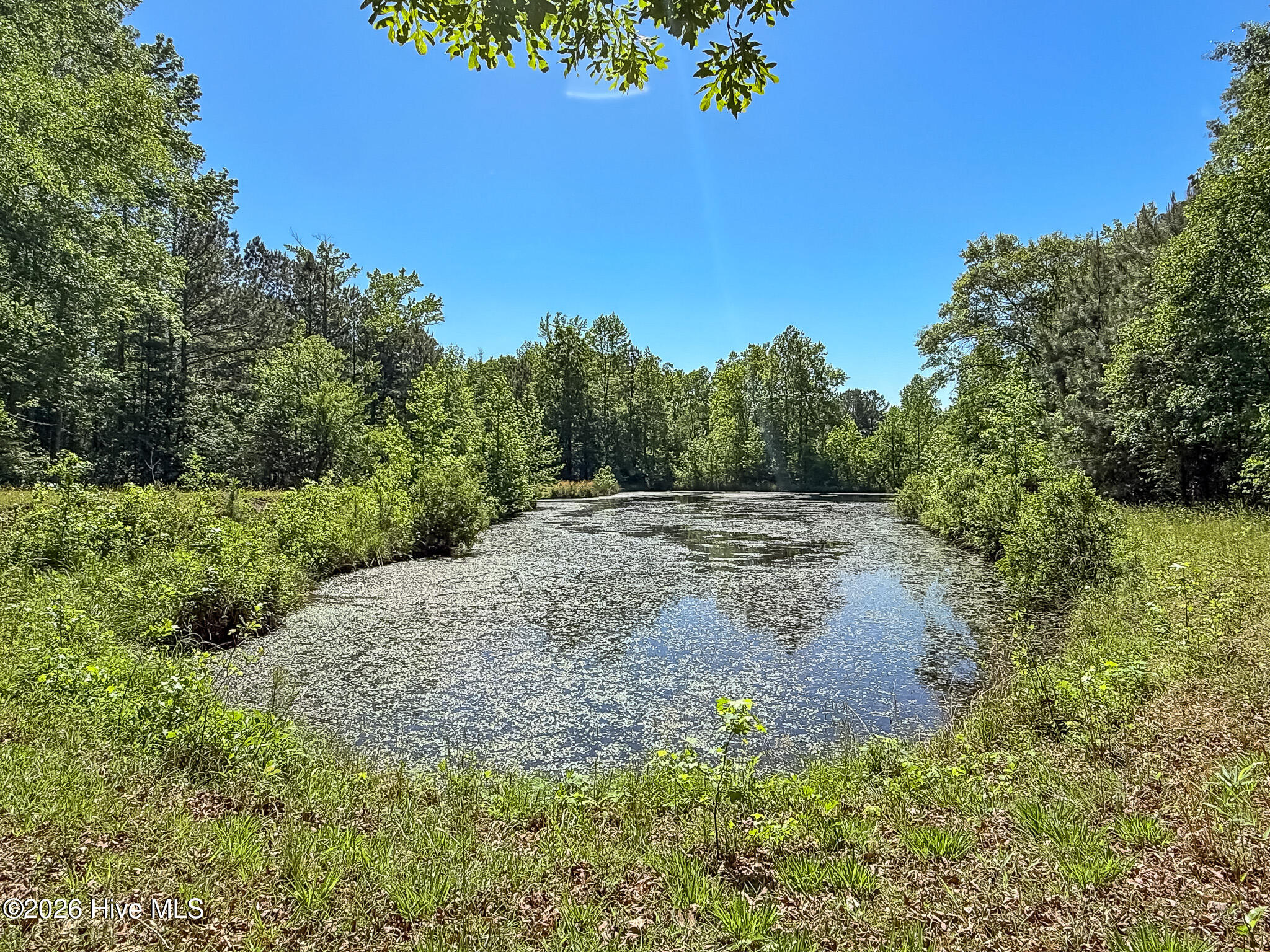 6375 Swanns Station Road Sanford, NC 27332 - Photo 117 of 126 Stocked Pond