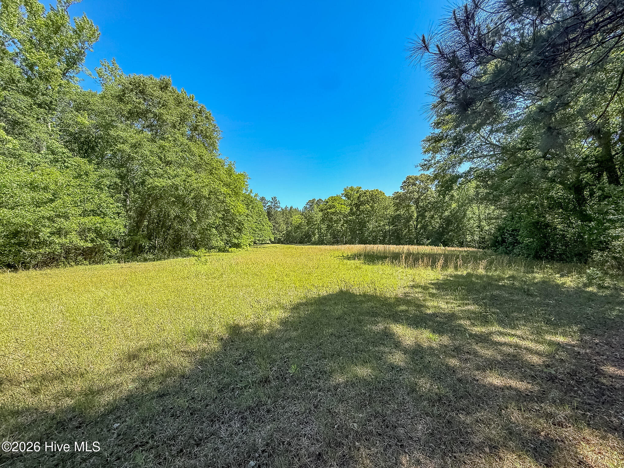 6375 Swanns Station Road Sanford, NC 27332 - Photo 118 of 126 Largest Field on the Property