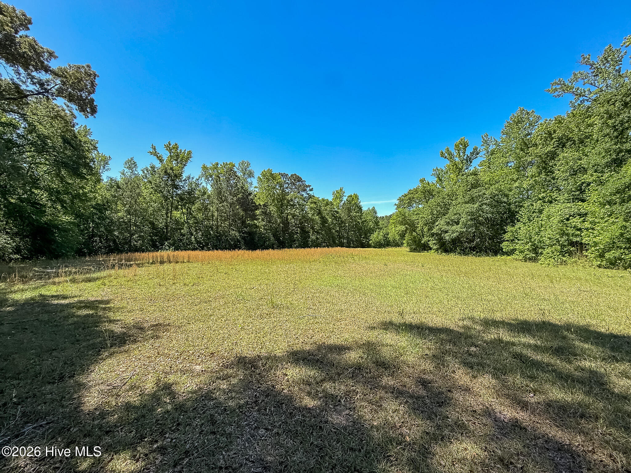 6375 Swanns Station Road Sanford, NC 27332 - Photo 119 of 126 Largest Field on the Property