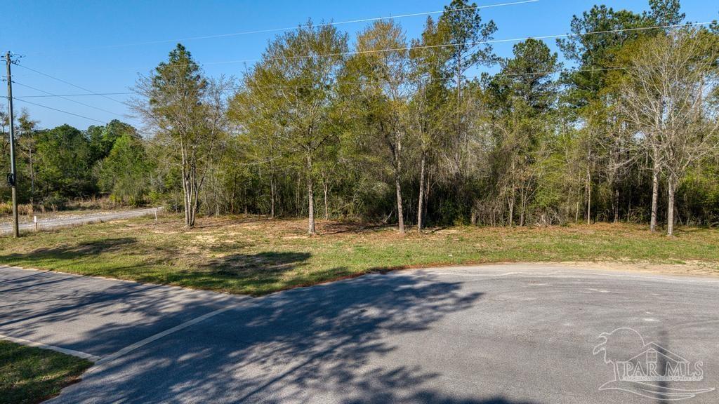Lot 42 Buffalo Ridge Road Milton, FL 32570 - Photo 11 of 24