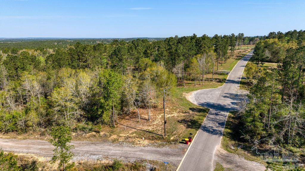 Lot 42 Buffalo Ridge Road Milton, FL 32570 - Photo 12 of 24