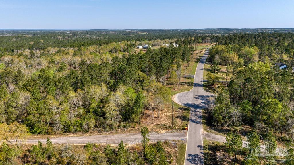 Lot 42 Buffalo Ridge Road Milton, FL 32570 - Photo 13 of 24