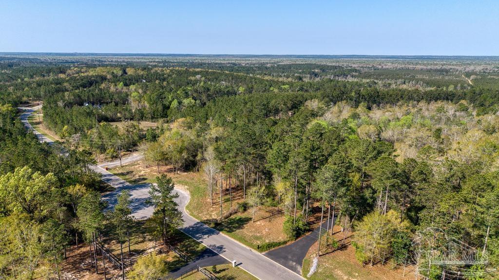 Lot 42 Buffalo Ridge Road Milton, FL 32570 - Photo 15 of 24