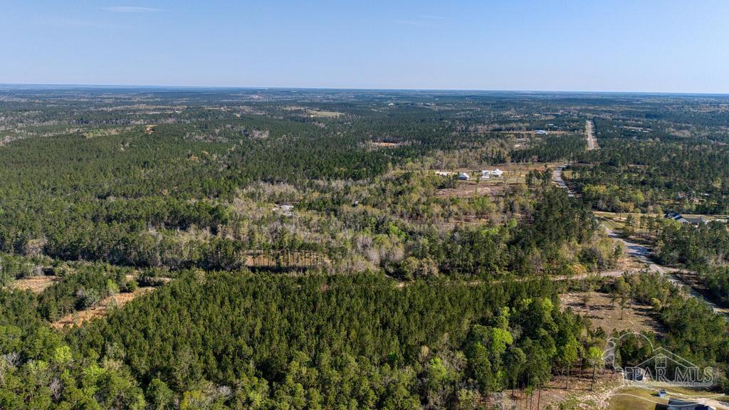 Lot 42 Buffalo Ridge Road Milton, FL 32570 - Photo 17 of 24