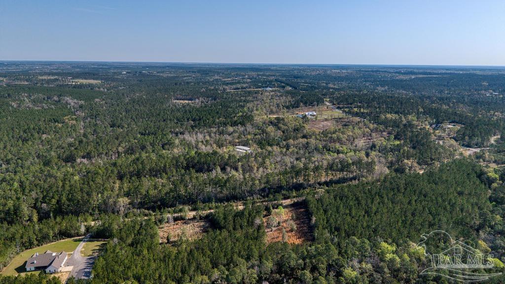 Lot 42 Buffalo Ridge Road Milton, FL 32570 - Photo 18 of 24