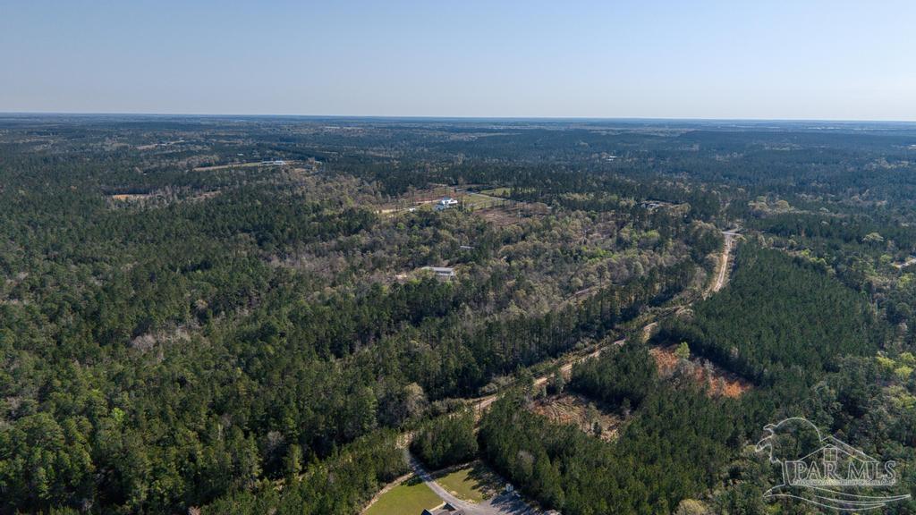 Lot 42 Buffalo Ridge Road Milton, FL 32570 - Photo 19 of 24