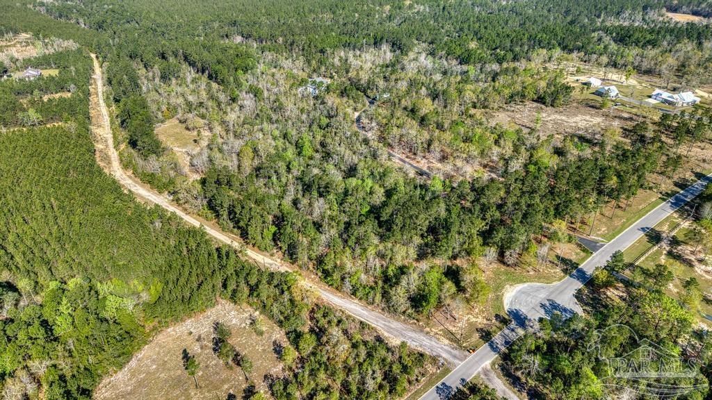 Lot 42 Buffalo Ridge Road Milton, FL 32570 - Photo 2 of 24