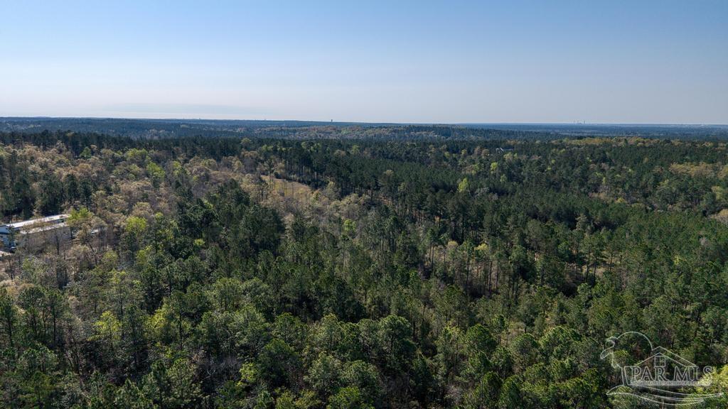 Lot 42 Buffalo Ridge Road Milton, FL 32570 - Photo 21 of 24