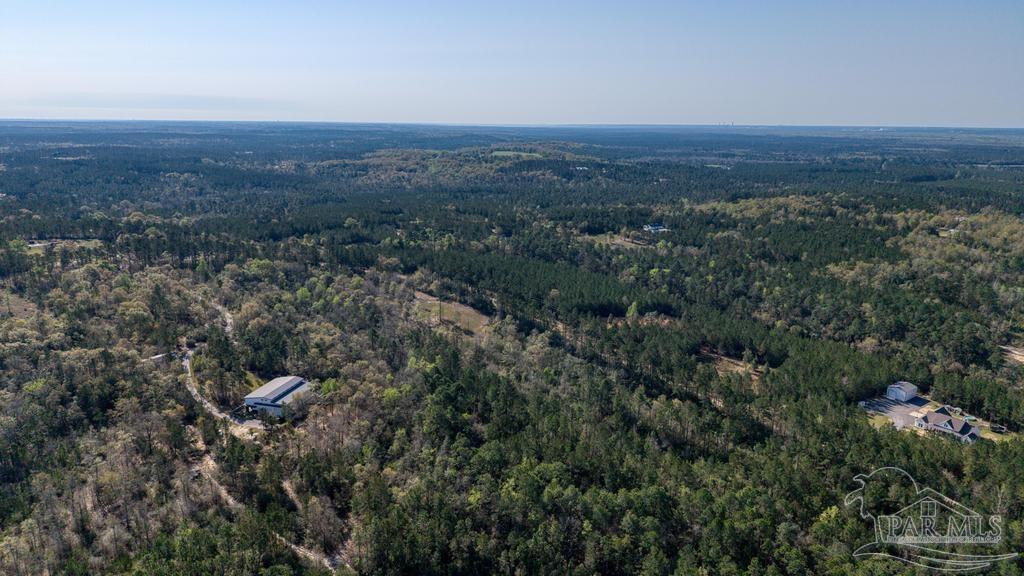 Lot 42 Buffalo Ridge Road Milton, FL 32570 - Photo 22 of 24