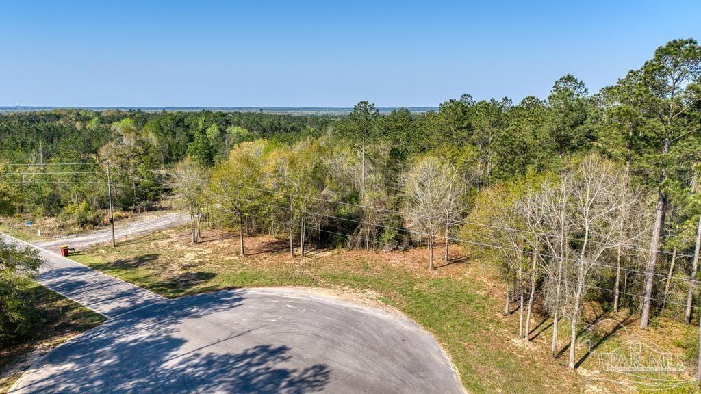 Lot 42 Buffalo Ridge Road Milton, FL 32570 - Photo 3 of 24