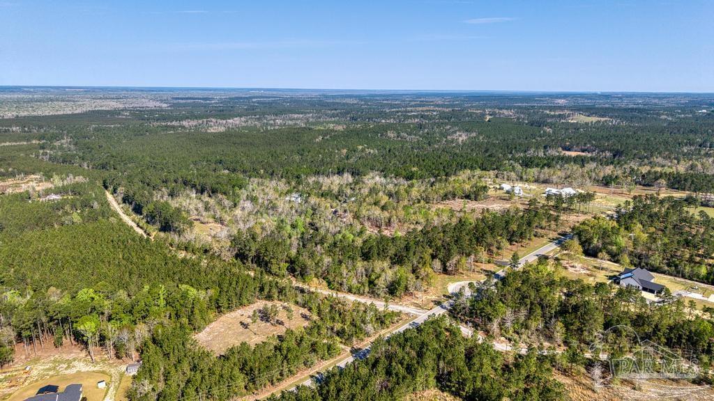 Lot 42 Buffalo Ridge Road Milton, FL 32570 - Photo 4 of 24