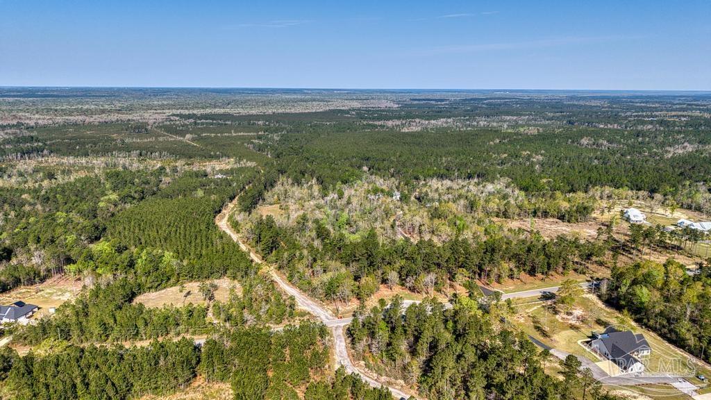 Lot 42 Buffalo Ridge Road Milton, FL 32570 - Photo 5 of 24